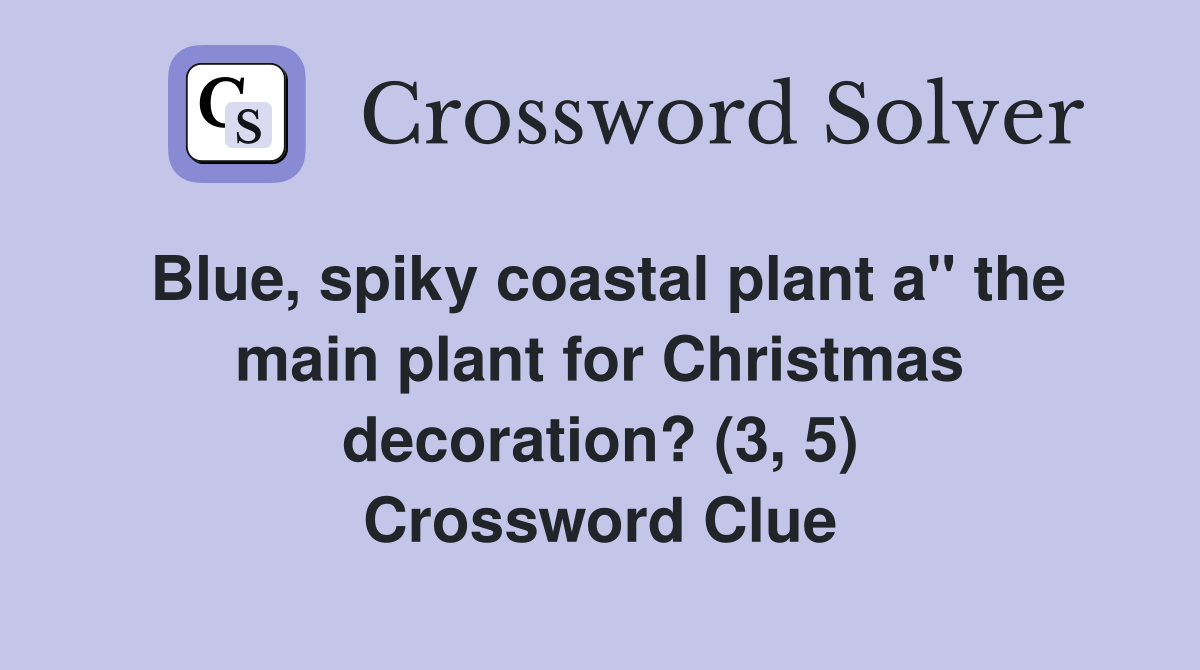 Blue, spiky coastal plant a" the main plant for Christmas decoration ...